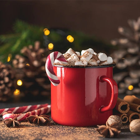 RECETTES POUR LES CAFÉS & DESSERTS DE NOËL PARFAITS