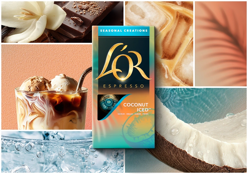 Noix de Coco Glacée à la Vanille ou au Chocolat