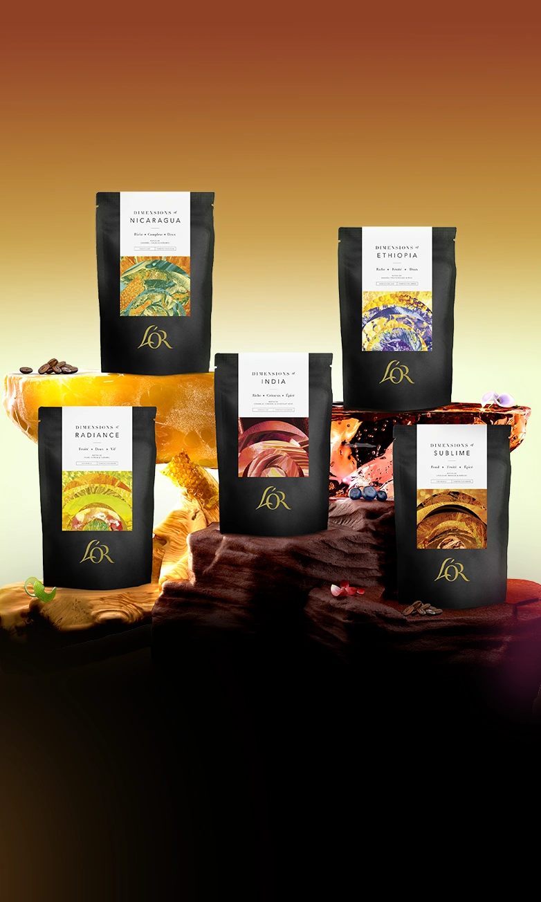 Nouveaux paquets de grains de café L'OR Dimensions placés sur des pierres avec les éléments de saveur.