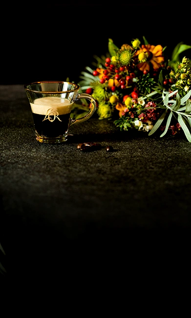 banner blog