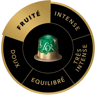 Capsule de café L'OR Bio Organic 9 sur la roue des saveurs, mettant en avant le profil Fruité