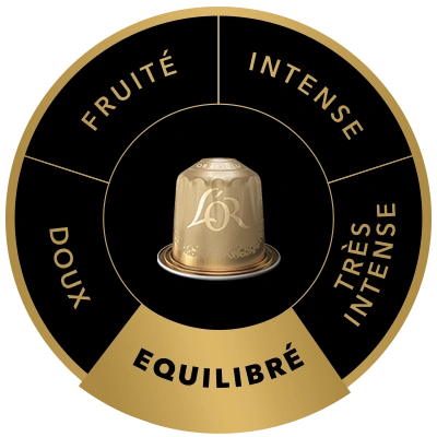 Capsule de café L'OR Or Absolu sur la roue des saveurs, mettant en avant le profil Moyen