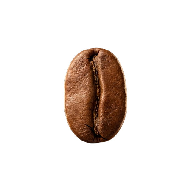 Light-roasted Arabica coffee bean on a white background.