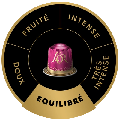 Capsule de café L'OR India sur la roue des saveurs, mettant en avant le profil Moyen